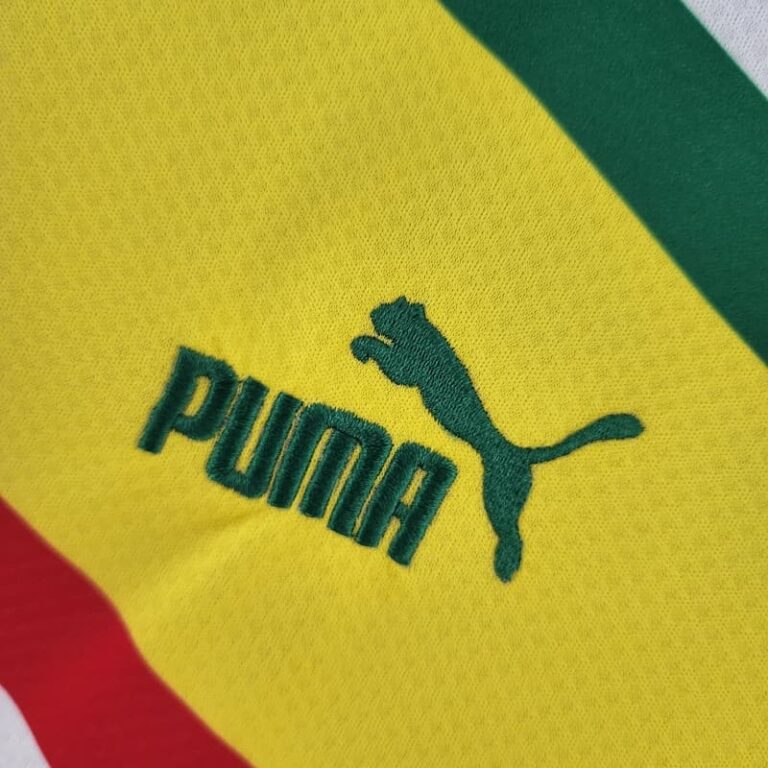 2022 Fans Version Senegal Soccer Jersey Home - Image 7
