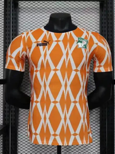 2023 Player Ivory Coast Soccer Jersey Home