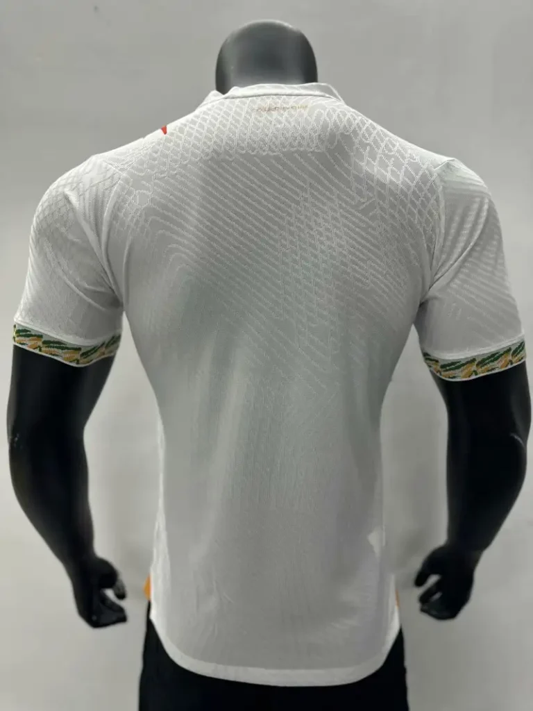 2023 Players Ivory Coast Special Edition Soccer Jersey - Image 2