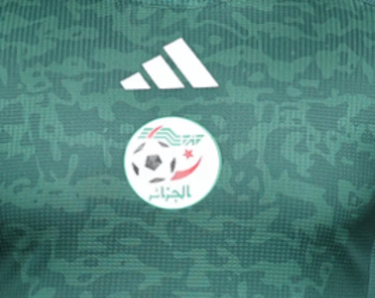 2024 Player Version Algeria Soccer Jersey Away - Image 2