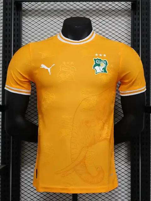2024 Player Ivory Coast Special Edition Orange Soccer Jersey