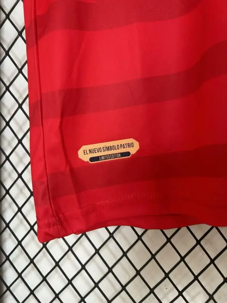 2024 Panama Soccer Jersey Home - Image 6