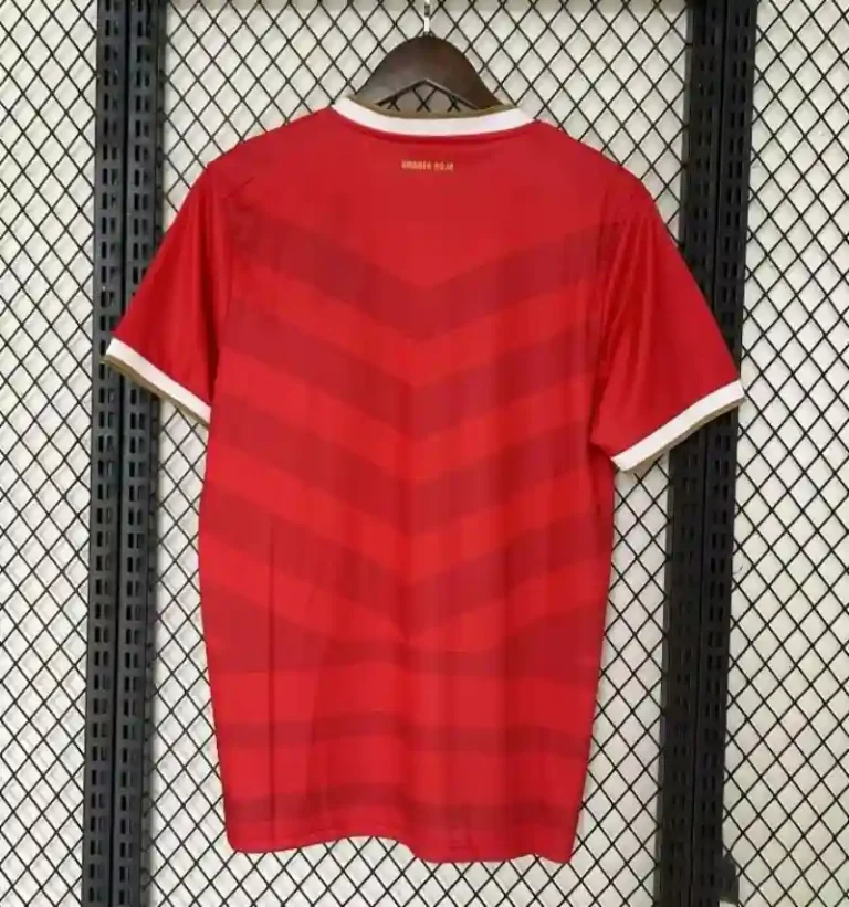 2024 Panama Soccer Jersey Home - Image 8