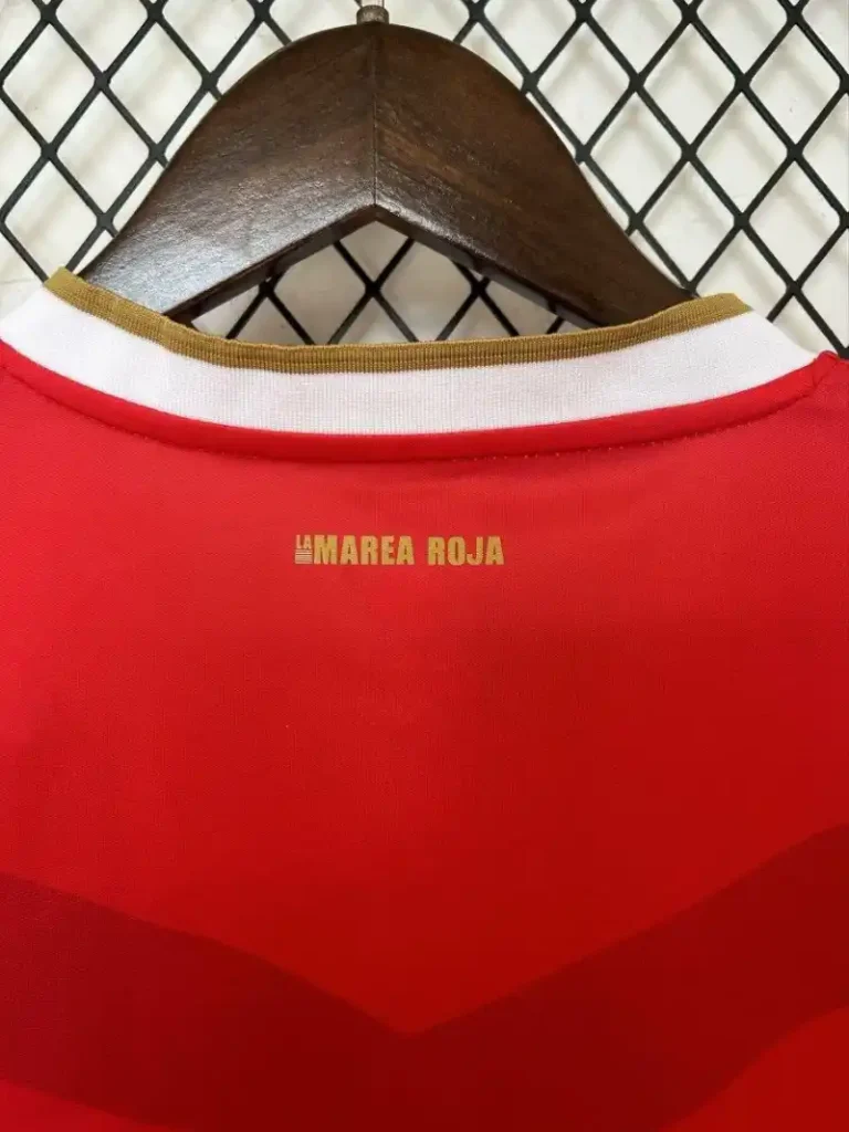 2024 Panama Soccer Jersey Home - Image 7