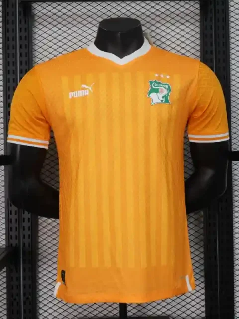 2024 Player Ivory Coast Soccer Jersey Home