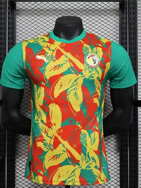 2024 Player Version Senegal Special Soccer Jersey