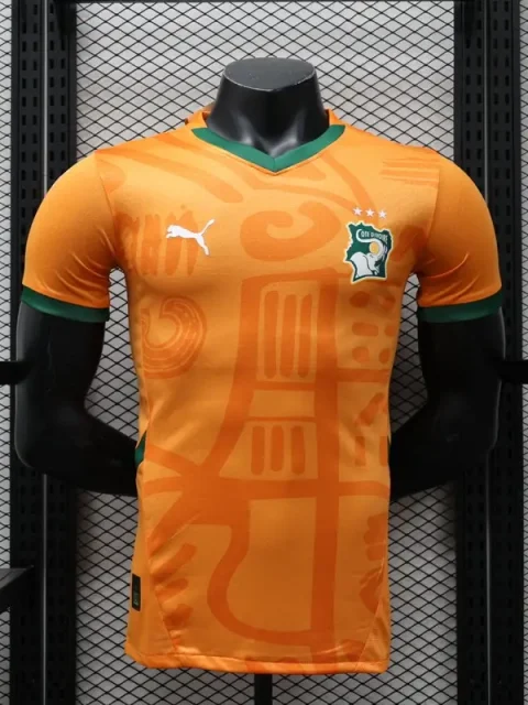 2024 Players Ivory Coast Soccer Jersey Home
