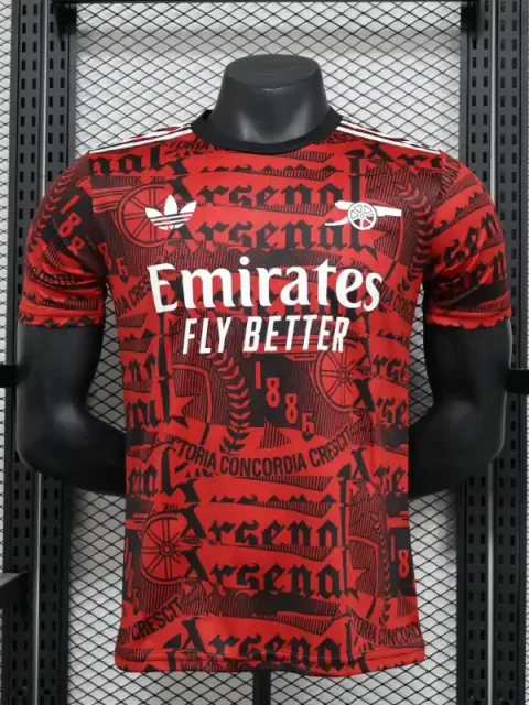 24/25 Player Arsenal Special Edition Red Soccer Jersey
